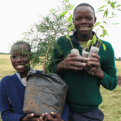 116-conservation-initiatives