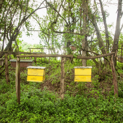 120-conservation-initiatives