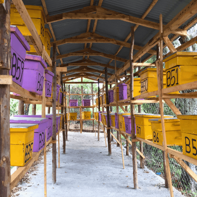 124-conservation-initiatives