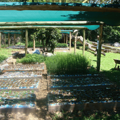 128-conservation-initiatives